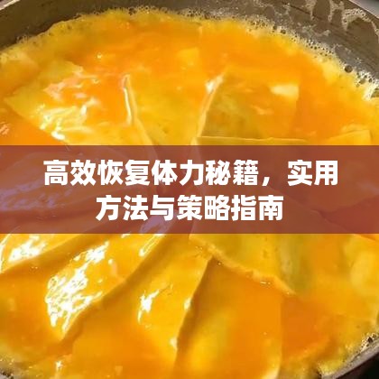 高效恢復(fù)體力秘籍，實(shí)用方法與策略指南