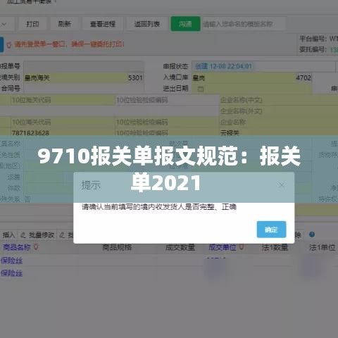 9710報關(guān)單報文規(guī)范：報關(guān)單2021 