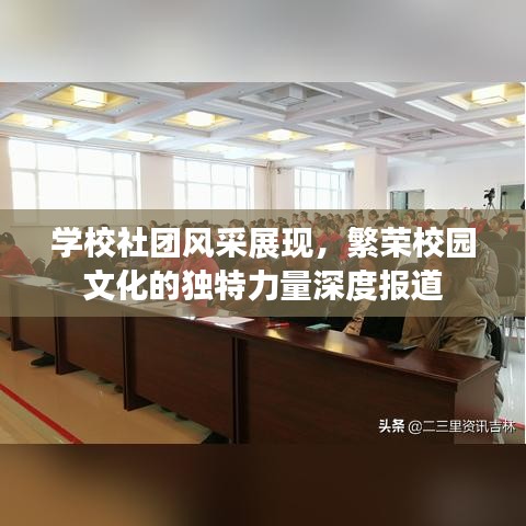 學(xué)校社團(tuán)風(fēng)采展現(xiàn)，繁榮校園文化的獨特力量深度報道