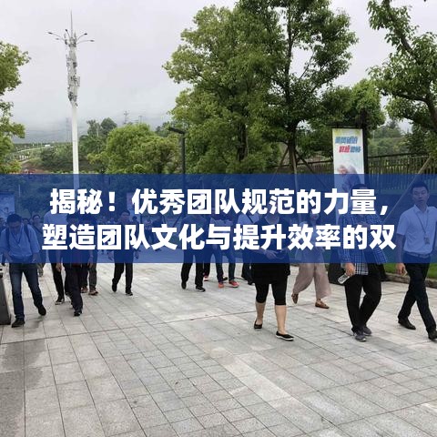 揭秘！優(yōu)秀團(tuán)隊(duì)規(guī)范的力量，塑造團(tuán)隊(duì)文化與提升效率的雙重秘訣