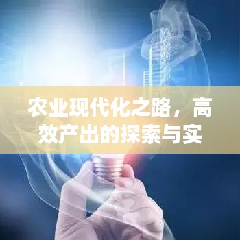 農(nóng)業(yè)現(xiàn)代化之路，高效產(chǎn)出的探索與實踐