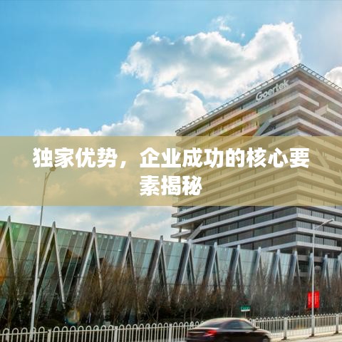 獨(dú)家優(yōu)勢(shì)，企業(yè)成功的核心要素揭秘