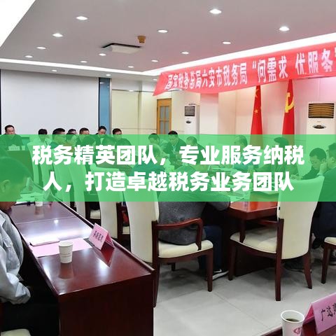 稅務(wù)精英團(tuán)隊(duì)，專業(yè)服務(wù)納稅人，打造卓越稅務(wù)業(yè)務(wù)團(tuán)隊(duì)