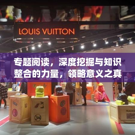 專題閱讀，深度挖掘與知識整合的力量，領(lǐng)略意義之真諦