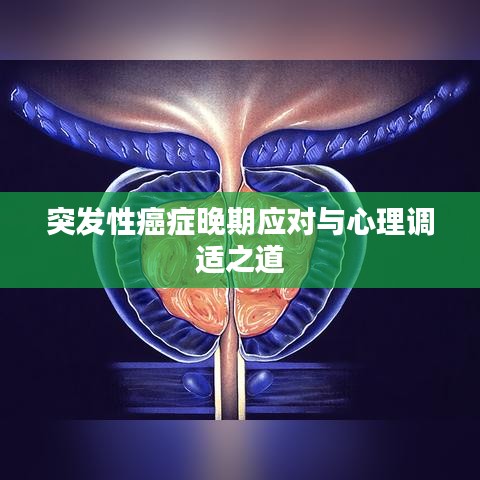 突發(fā)性癌癥晚期應(yīng)對(duì)與心理調(diào)適之道