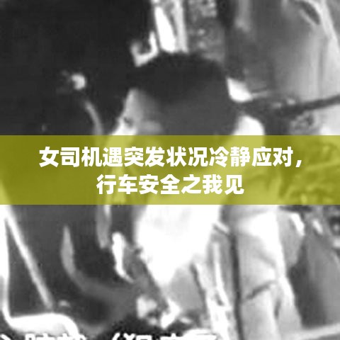 加盟合作 第115頁