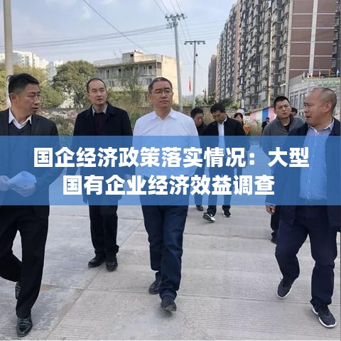 國企經(jīng)濟(jì)政策落實(shí)情況：大型國有企業(yè)經(jīng)濟(jì)效益調(diào)查 