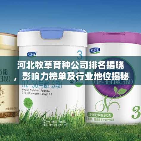 河北牧草育種公司排名揭曉，影響力榜單及行業(yè)地位揭秘
