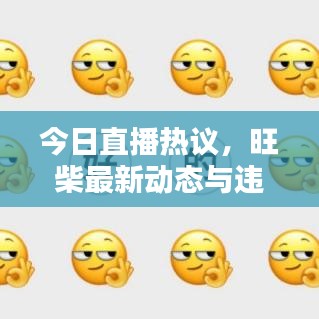 今日直播熱議，旺柴最新動態(tài)與違法犯罪問題探討深度解析