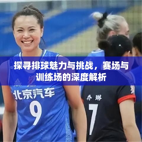 探尋排球魅力與挑戰(zhàn)，賽場與訓練場的深度解析