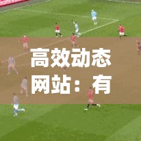 高效動態(tài)網(wǎng)站：有什么動態(tài)網(wǎng)站 