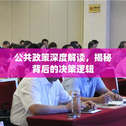 公共政策深度解讀，揭秘背后的決策邏輯