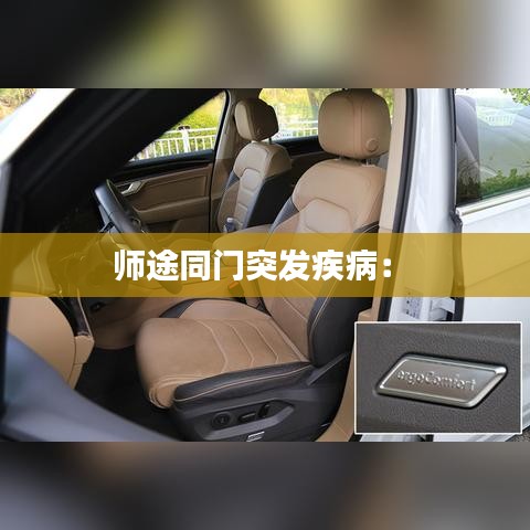 真獨(dú)簡(jiǎn)貴 第3頁(yè)