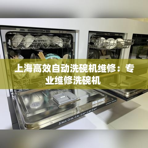上海高效自動洗碗機(jī)維修：專業(yè)維修洗碗機(jī) 