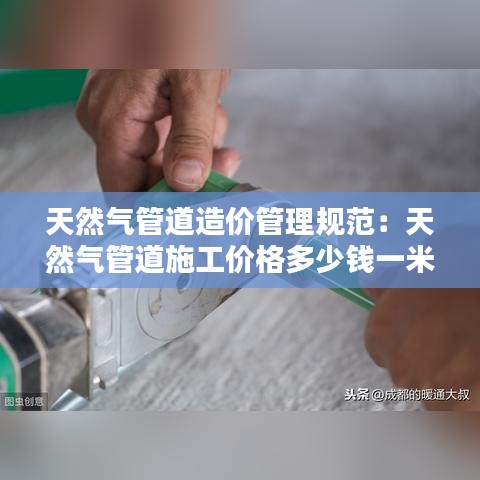 生張熟魏 第3頁