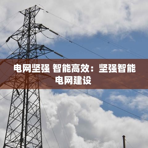 電網(wǎng)堅(jiān)強(qiáng) 智能高效：堅(jiān)強(qiáng)智能電網(wǎng)建設(shè) 