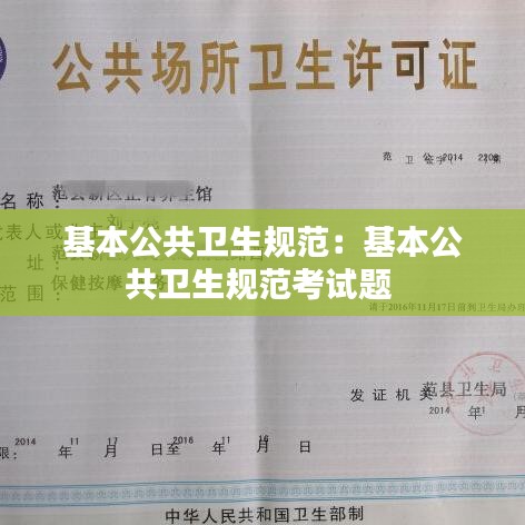 基本公共衛(wèi)生規(guī)范：基本公共衛(wèi)生規(guī)范考試題 