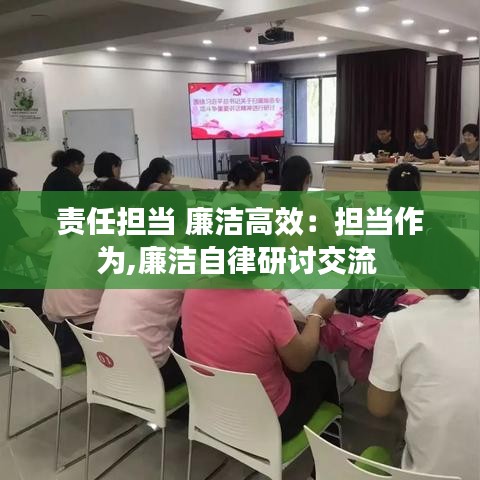 責(zé)任擔(dān)當(dāng) 廉潔高效：擔(dān)當(dāng)作為,廉潔自律研討交流 
