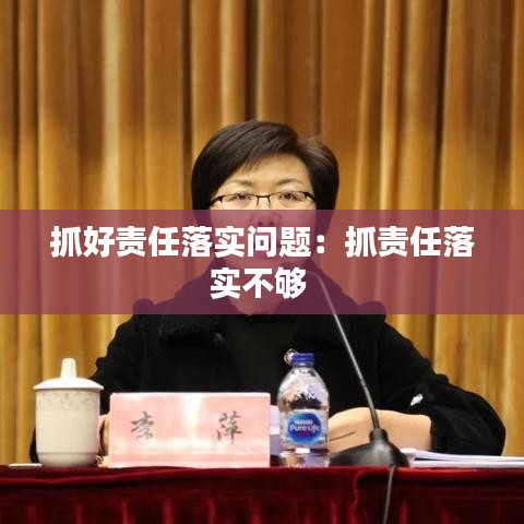 抓好責任落實問題：抓責任落實不夠 