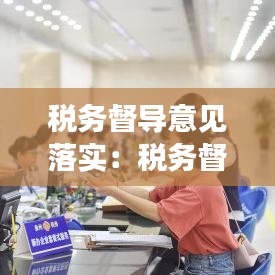 稅務(wù)督導(dǎo)意見(jiàn)落實(shí)：稅務(wù)督查工作方式 