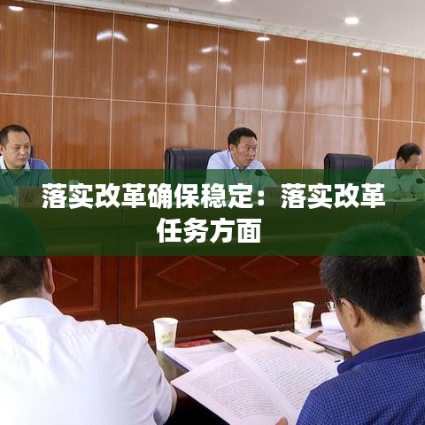 落實改革確保穩(wěn)定：落實改革任務(wù)方面 