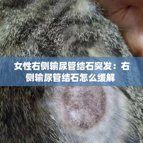 頂天立地 第3頁