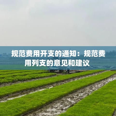 規(guī)范費用開支的通知：規(guī)范費用列支的意見和建議 