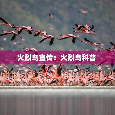不求甚解 第2頁