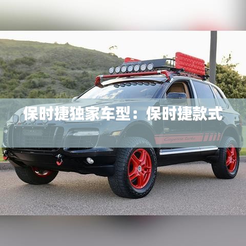 保時(shí)捷獨(dú)家車(chē)型：保時(shí)捷款式 
