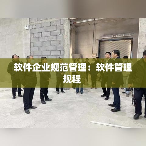 軟件企業(yè)規(guī)范管理：軟件管理規(guī)程 