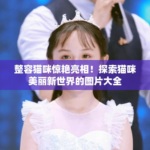 整容貓咪驚艷亮相！探索貓咪美麗新世界的圖片大全
