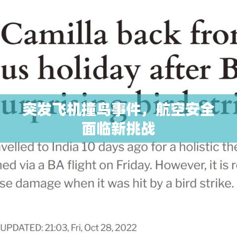 突發(fā)飛機撞鳥事件，航空安全面臨新挑戰(zhàn)
