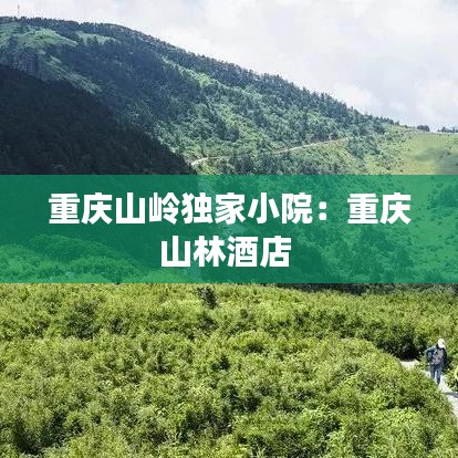 重慶山嶺獨(dú)家小院：重慶山林酒店 