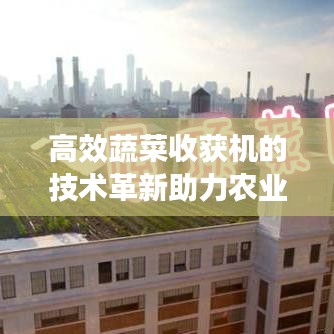 高效蔬菜收獲機的技術革新助力農業(yè)現(xiàn)代化應用