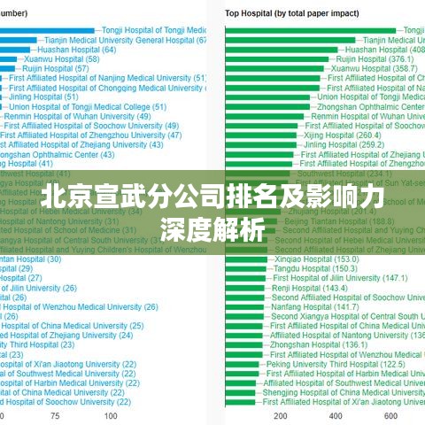 北京宣武分公司排名及影響力深度解析