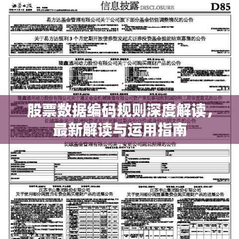 股票數(shù)據(jù)編碼規(guī)則深度解讀，最新解讀與運(yùn)用指南