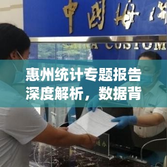 惠州統(tǒng)計(jì)專題報(bào)告深度解析，數(shù)據(jù)背后的真相與洞察