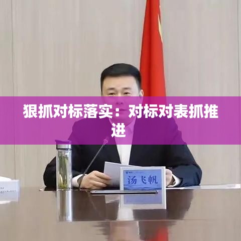 狠抓對(duì)標(biāo)落實(shí)：對(duì)標(biāo)對(duì)表抓推進(jìn) 