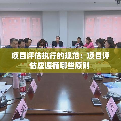 項(xiàng)目評估執(zhí)行的規(guī)范：項(xiàng)目評估應(yīng)遵循哪些原則 