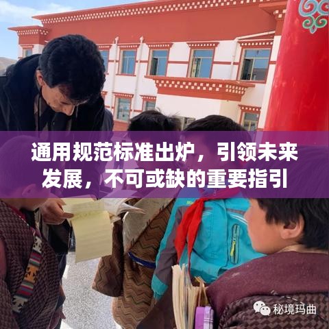 通用規(guī)范標(biāo)準(zhǔn)出爐，引領(lǐng)未來發(fā)展，不可或缺的重要指引