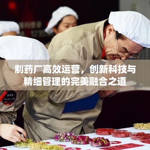 制藥廠高效運(yùn)營(yíng)，創(chuàng)新科技與精細(xì)管理的完美融合之道