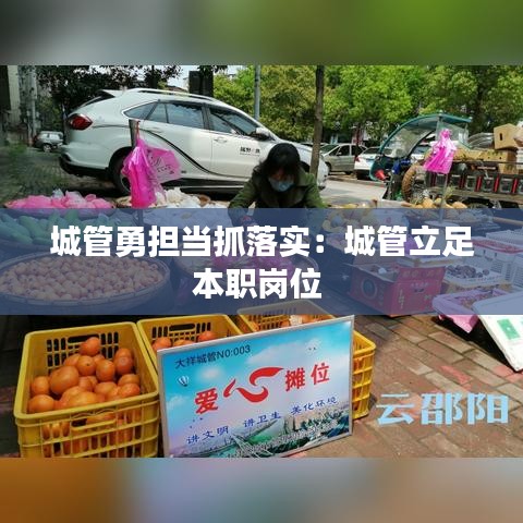 城管勇?lián)斪ヂ鋵崳撼枪芰⒆惚韭殟徫?