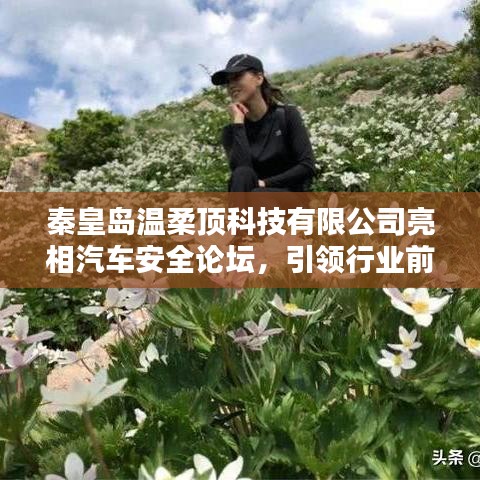 秦皇島溫柔頂科技亮相汽車(chē)安全論壇，引領(lǐng)前沿技術(shù)探討風(fēng)潮