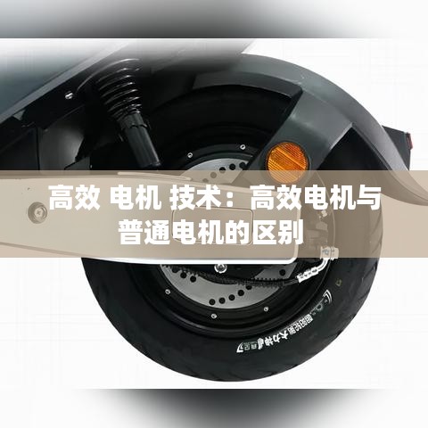 高效 電機 技術：高效電機與普通電機的區(qū)別 