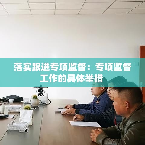 落實跟進專項監(jiān)督：專項監(jiān)督工作的具體舉措 