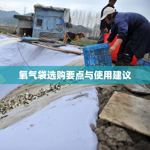 氧氣袋選購指南，要點(diǎn)解析與使用建議