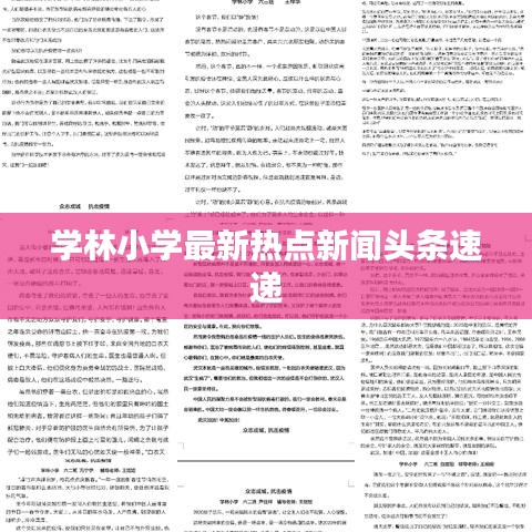 學(xué)林小學(xué)最新熱點(diǎn)新聞?lì)^條速遞