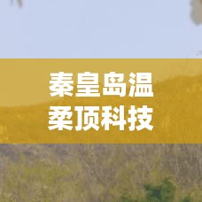秦皇島溫柔頂科技榮獲創(chuàng)新獎(jiǎng)，引領(lǐng)行業(yè)潮流，鑄就典范地位