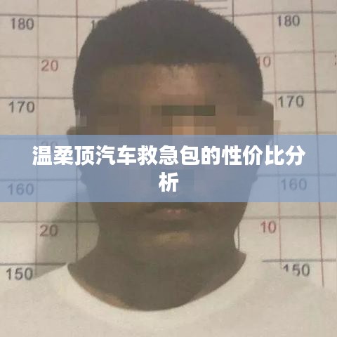 溫柔頂汽車救急包，性價(jià)比解析