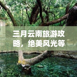 三月云南旅游攻略，絕美風(fēng)光等你來探！